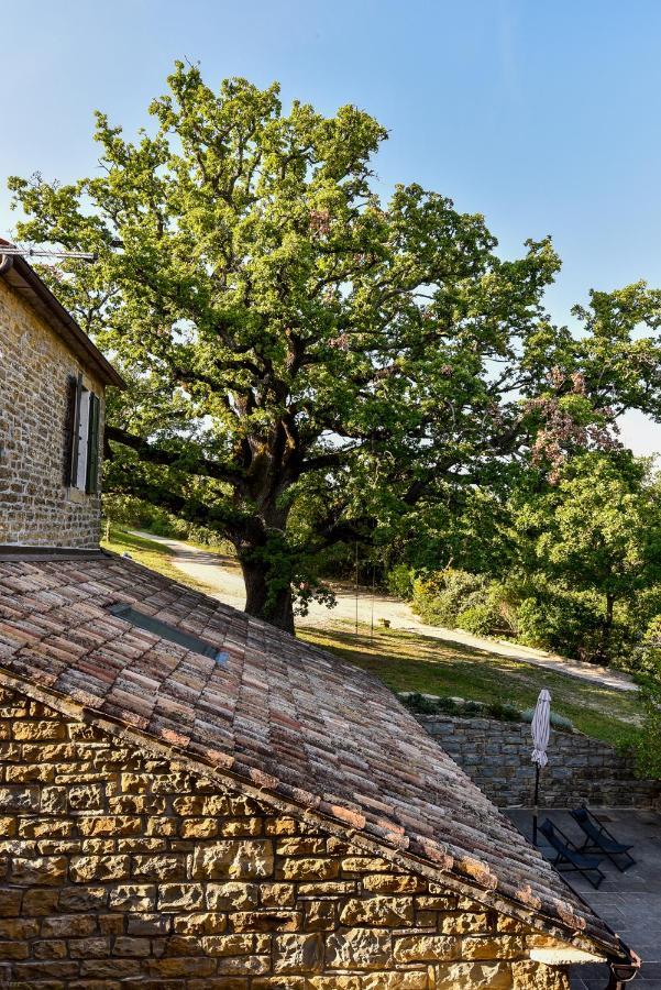 Ferienwohnung L'Abbraccio Della Quercia Momjan Exterior foto