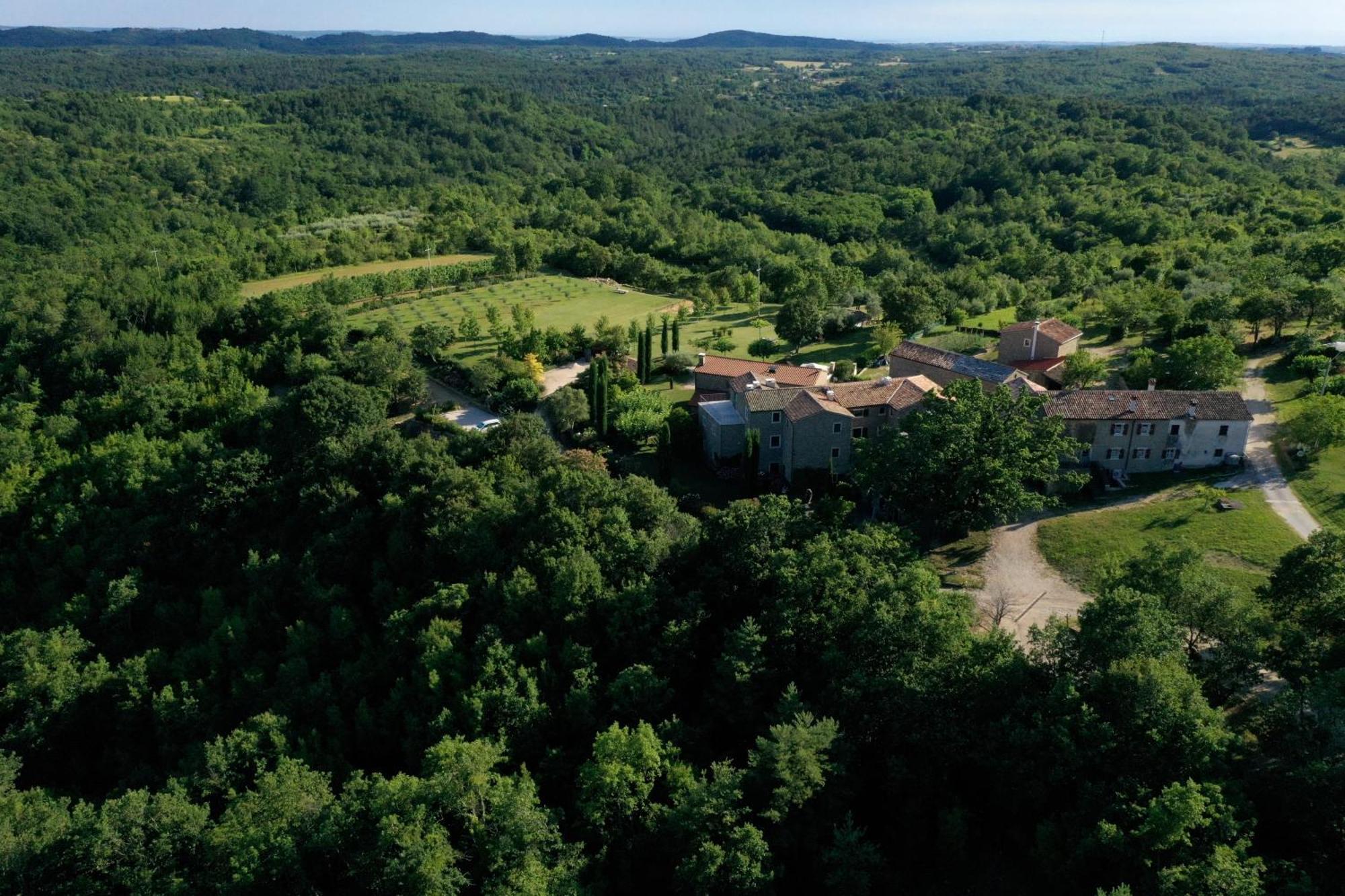 Ferienwohnung L'Abbraccio Della Quercia Momjan Exterior foto